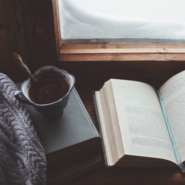 Olivier bousquet thesis image